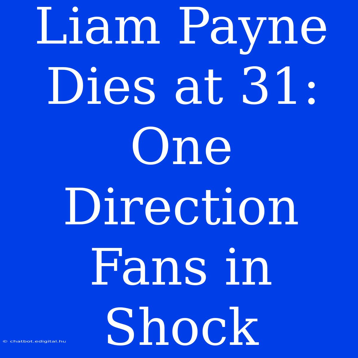 Liam Payne Dies At 31: One Direction Fans In Shock 