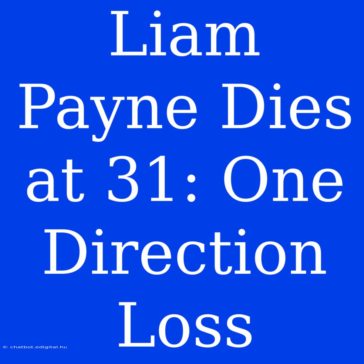 Liam Payne Dies At 31: One Direction Loss