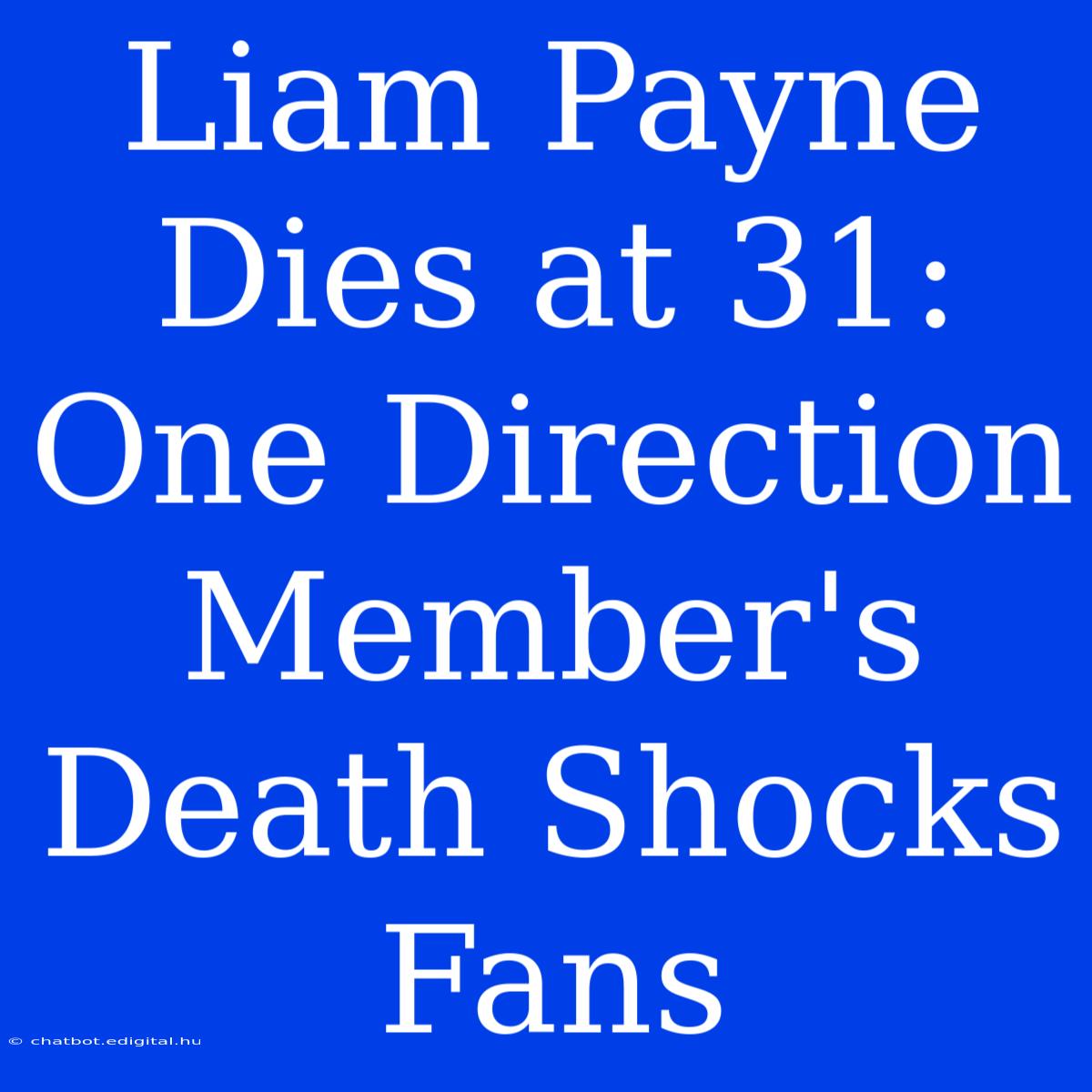 Liam Payne Dies At 31: One Direction Member's Death Shocks Fans