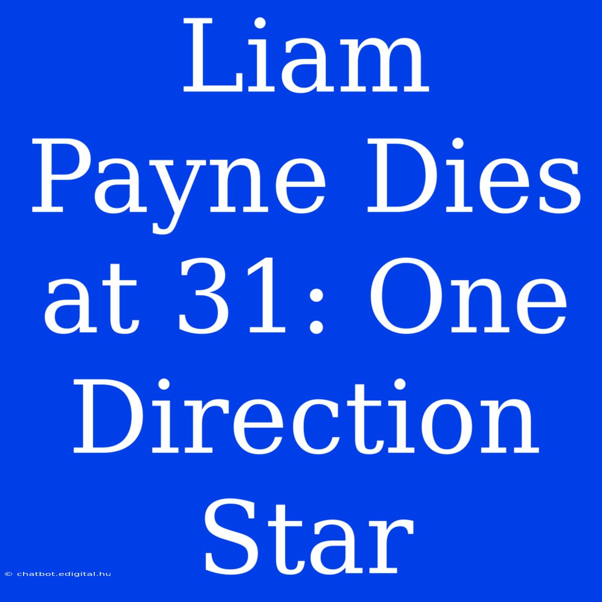 Liam Payne Dies At 31: One Direction Star 