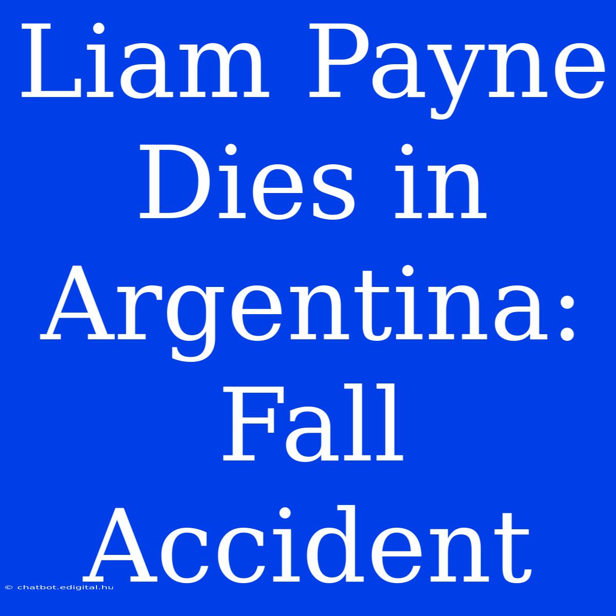 Liam Payne Dies In Argentina: Fall Accident