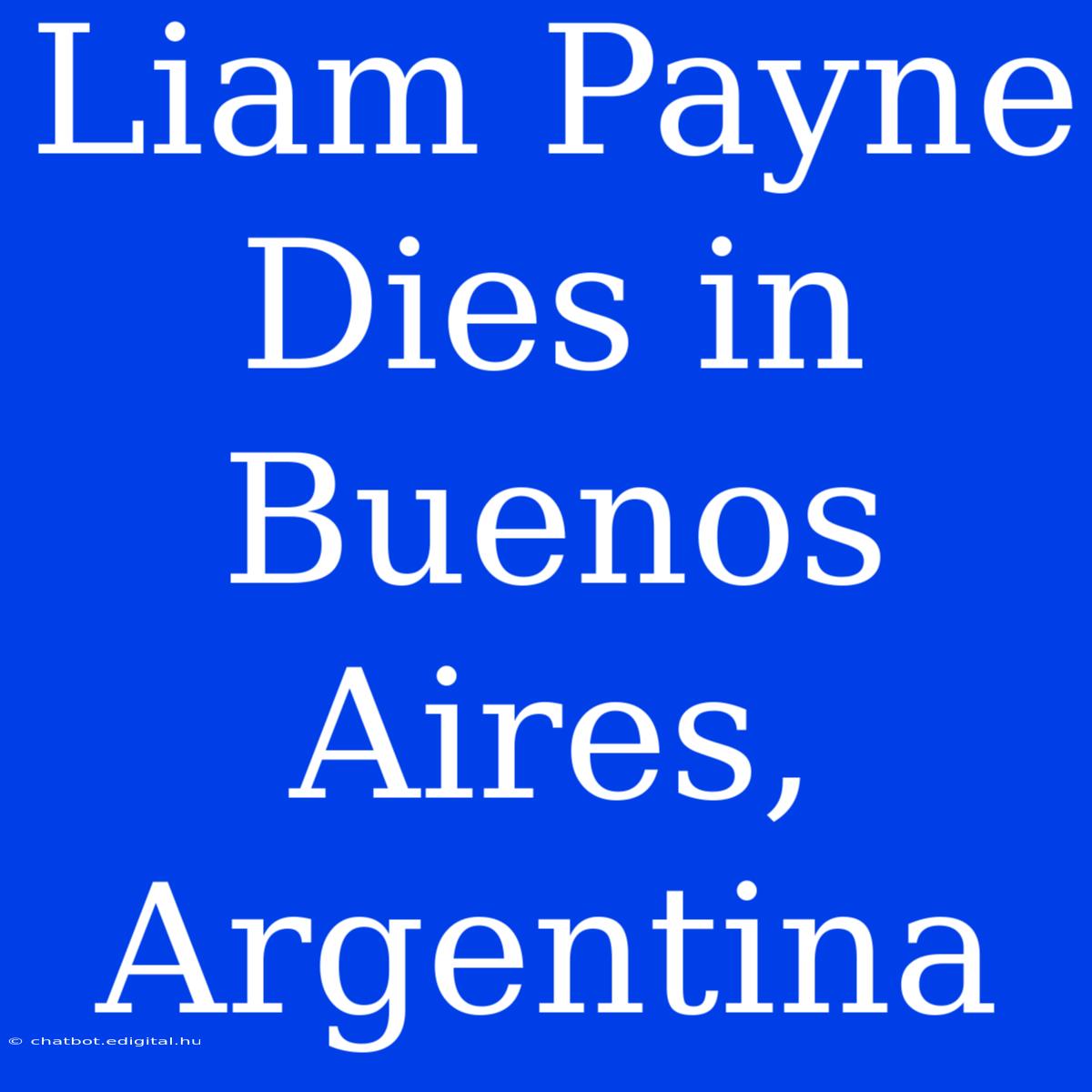 Liam Payne Dies In Buenos Aires, Argentina