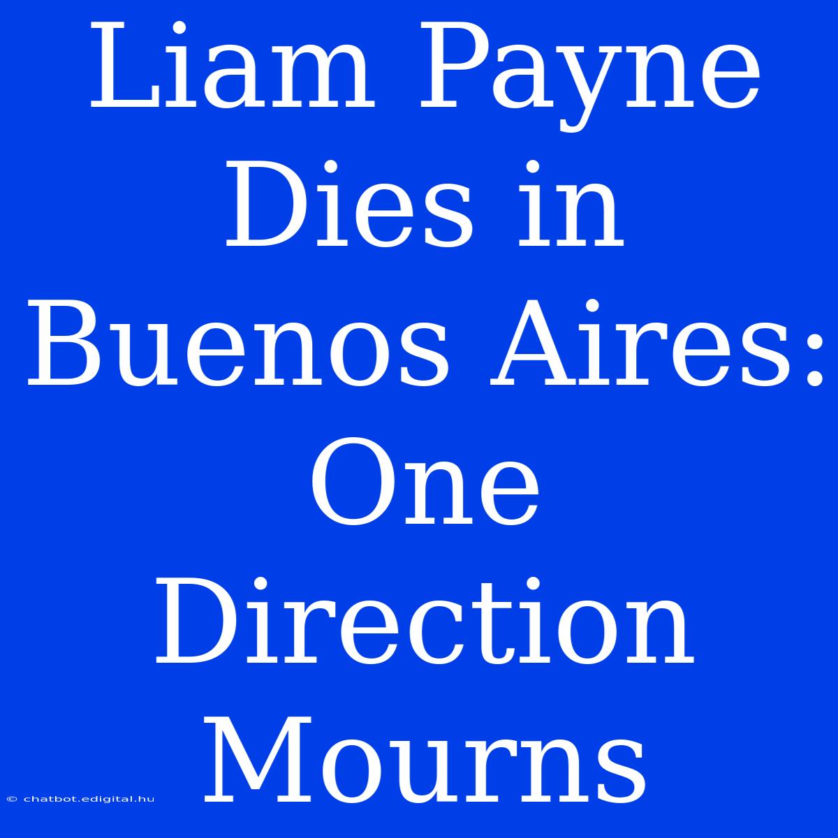 Liam Payne Dies In Buenos Aires: One Direction Mourns