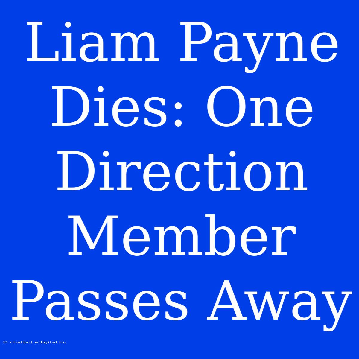 Liam Payne Dies: One Direction Member Passes Away