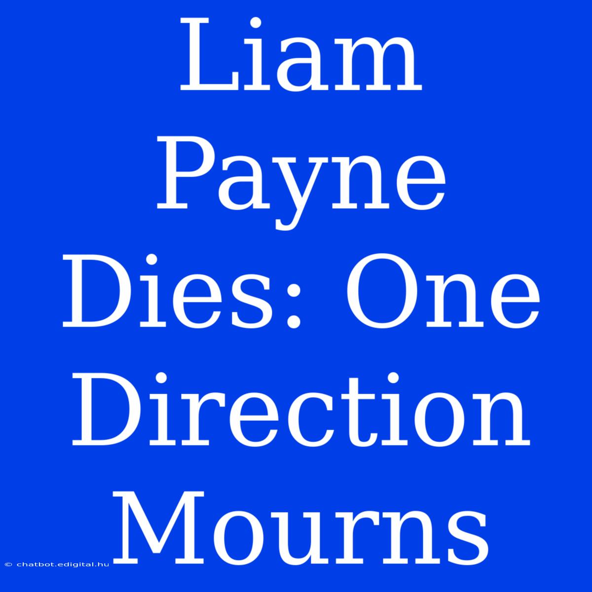 Liam Payne Dies: One Direction Mourns 