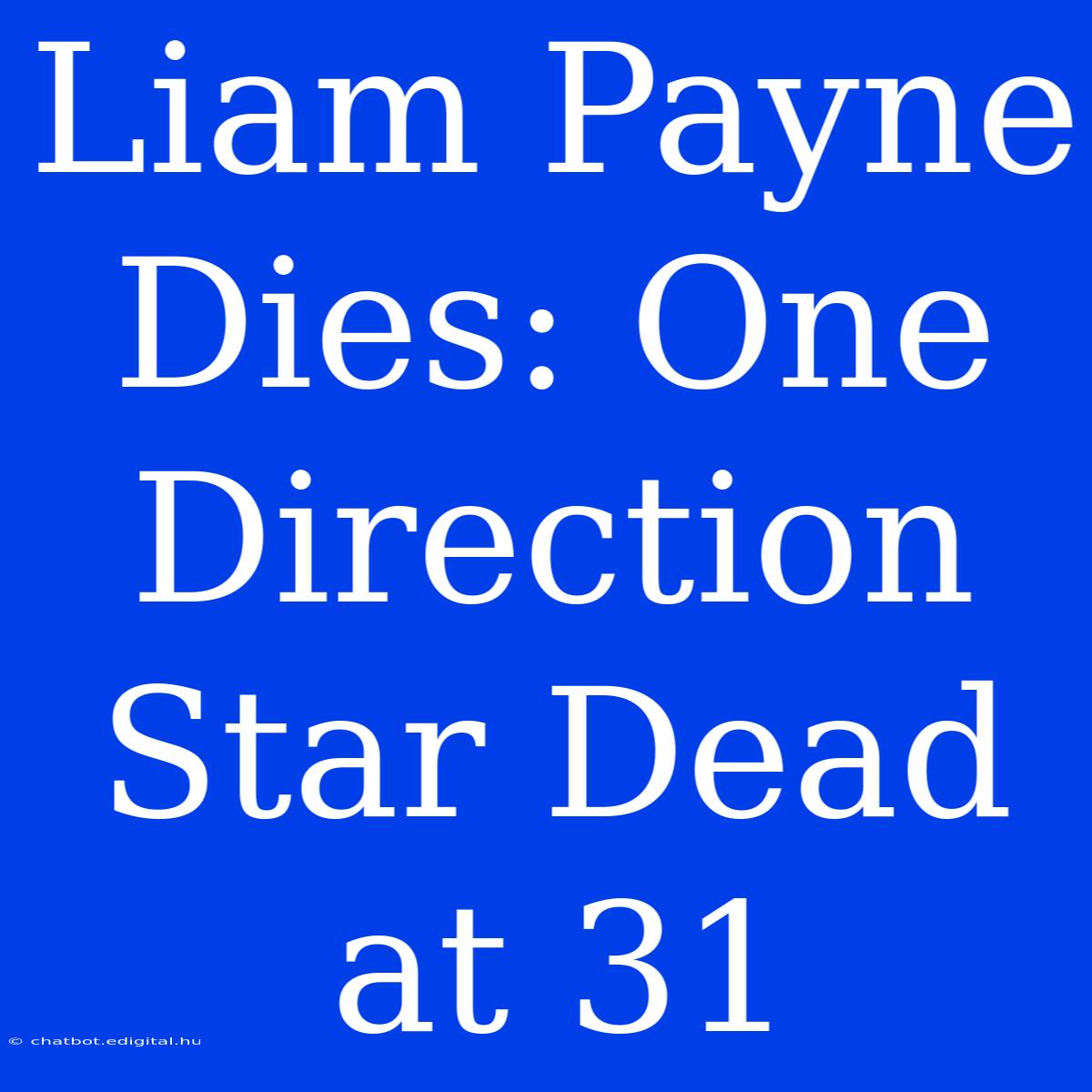 Liam Payne Dies: One Direction Star Dead At 31