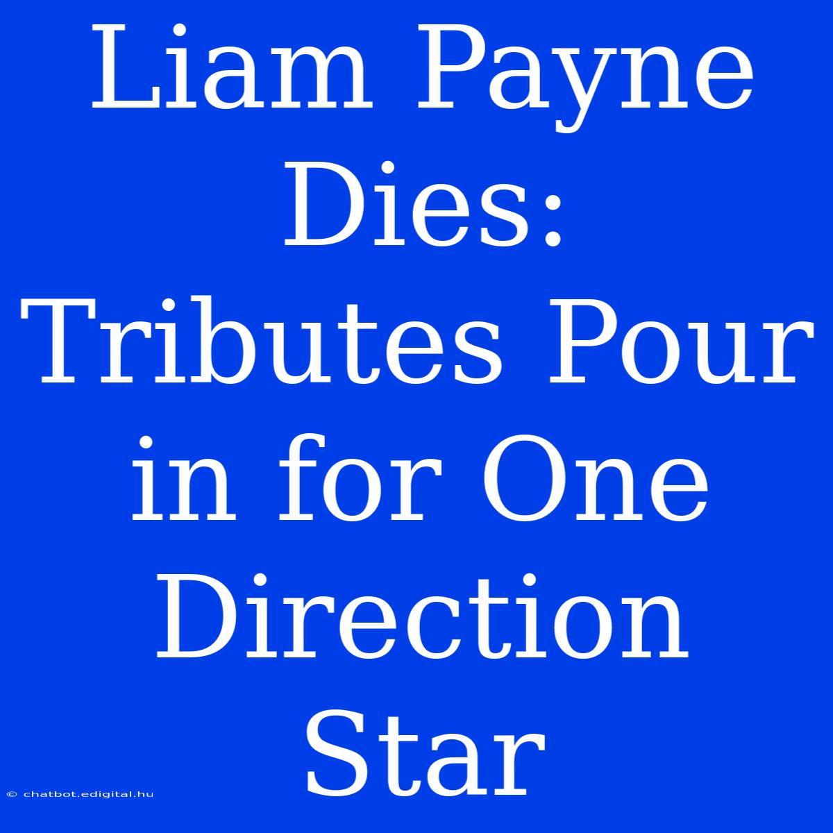 Liam Payne Dies: Tributes Pour In For One Direction Star 