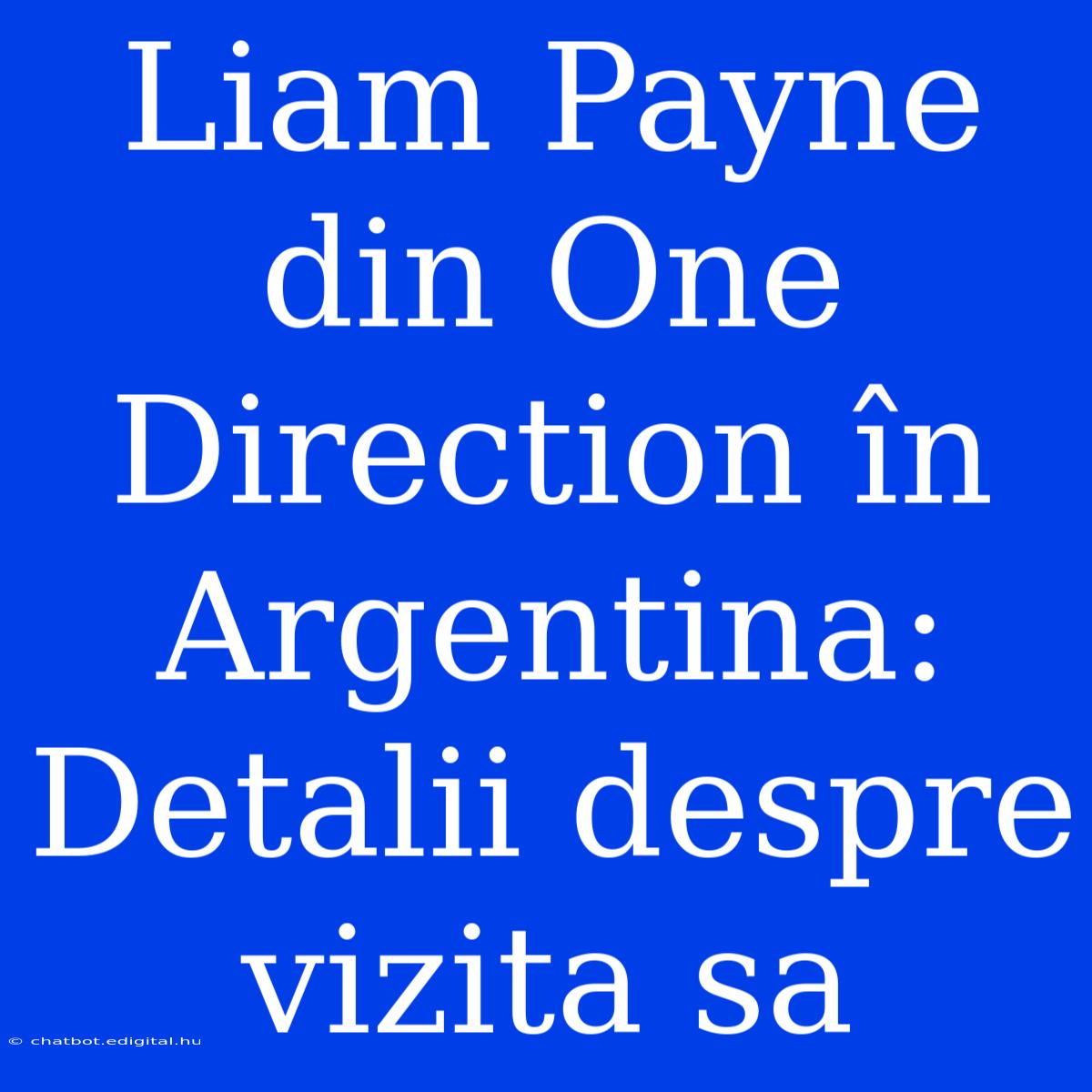 Liam Payne Din One Direction În Argentina: Detalii Despre Vizita Sa