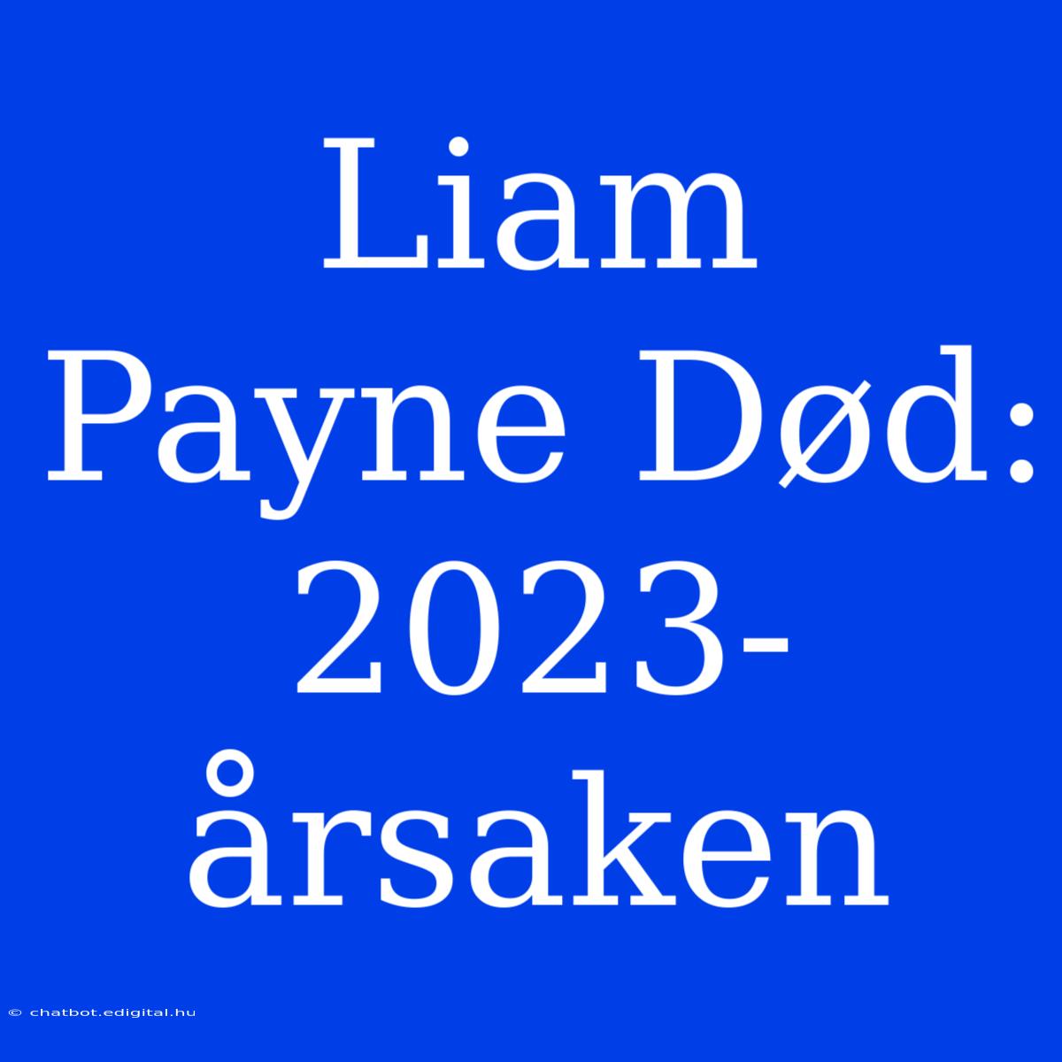 Liam Payne Død: 2023-årsaken