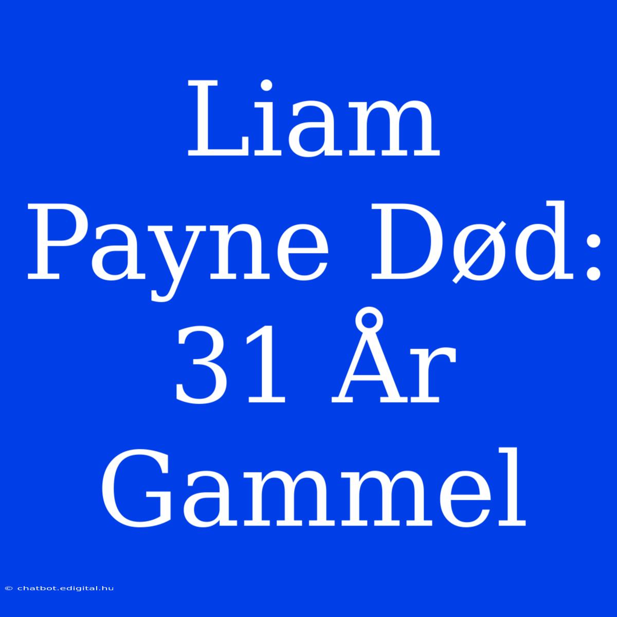 Liam Payne Død: 31 År Gammel