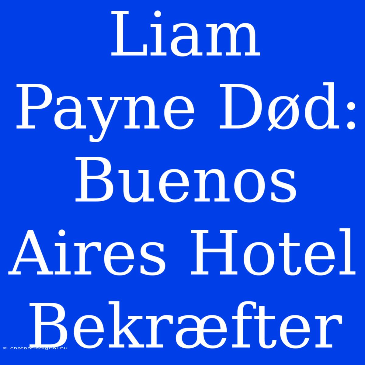 Liam Payne Død: Buenos Aires Hotel Bekræfter