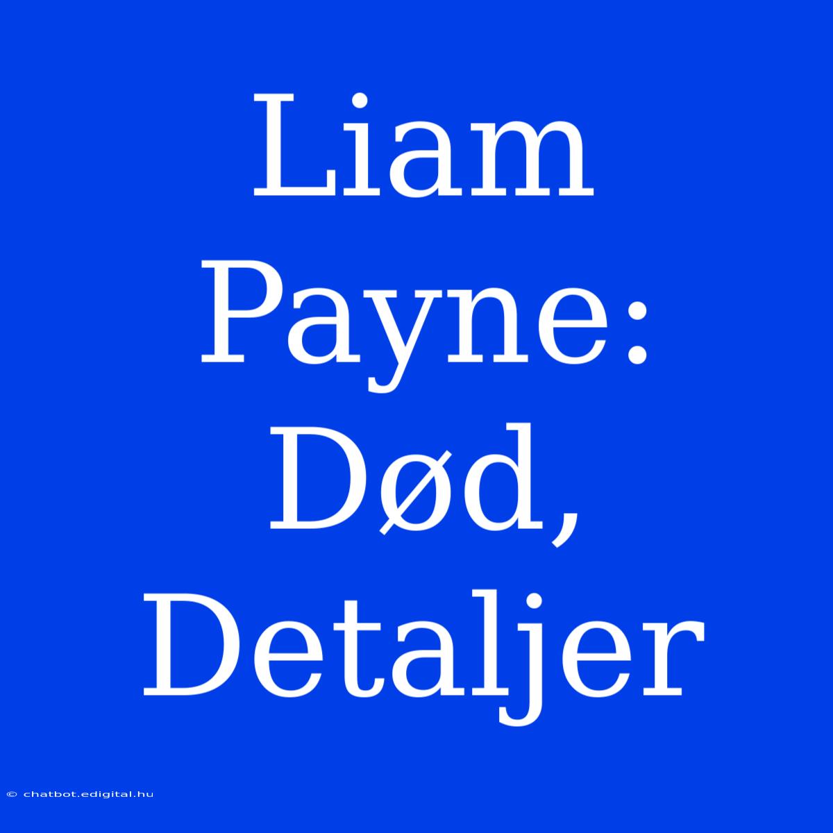 Liam Payne:  Død, Detaljer