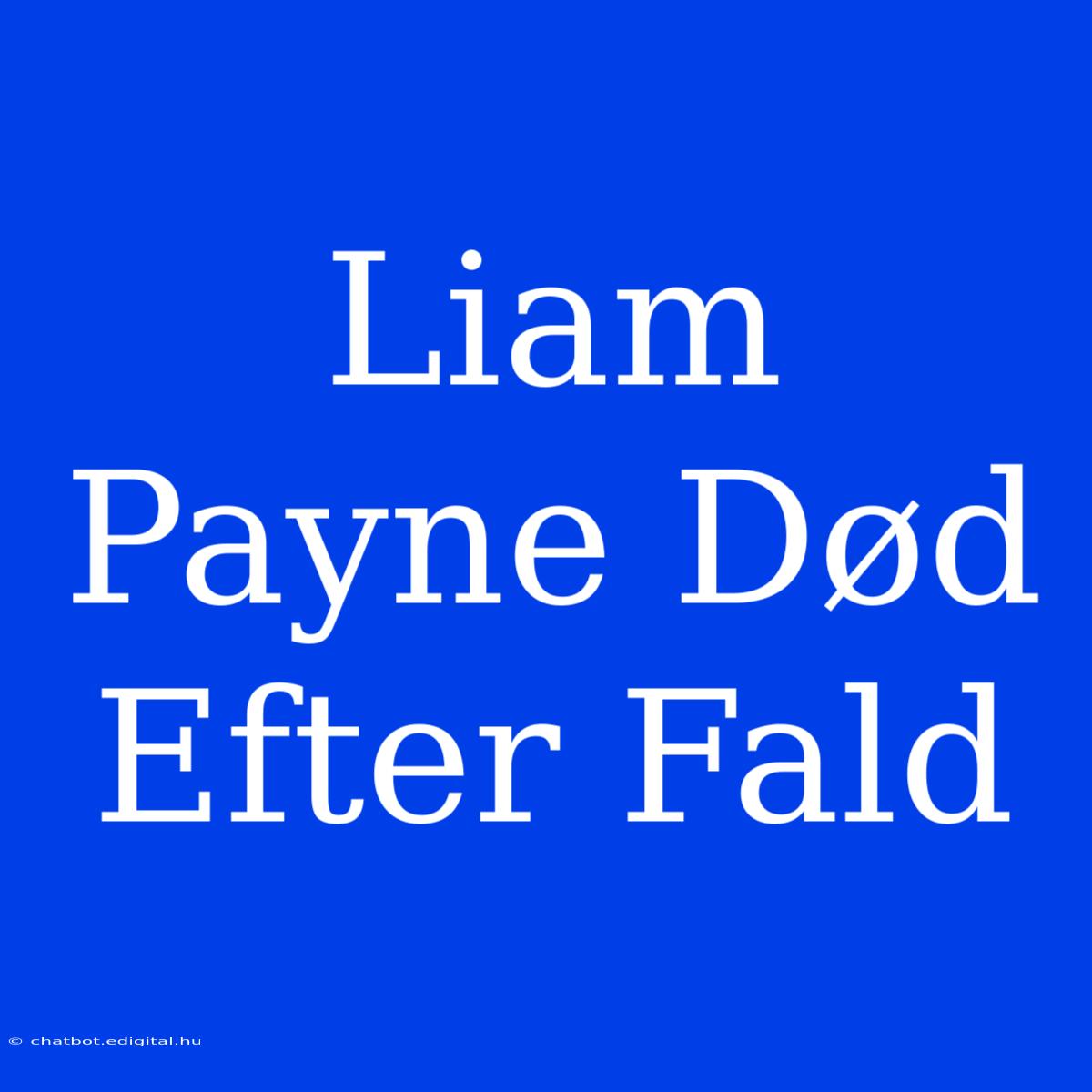 Liam Payne Død Efter Fald