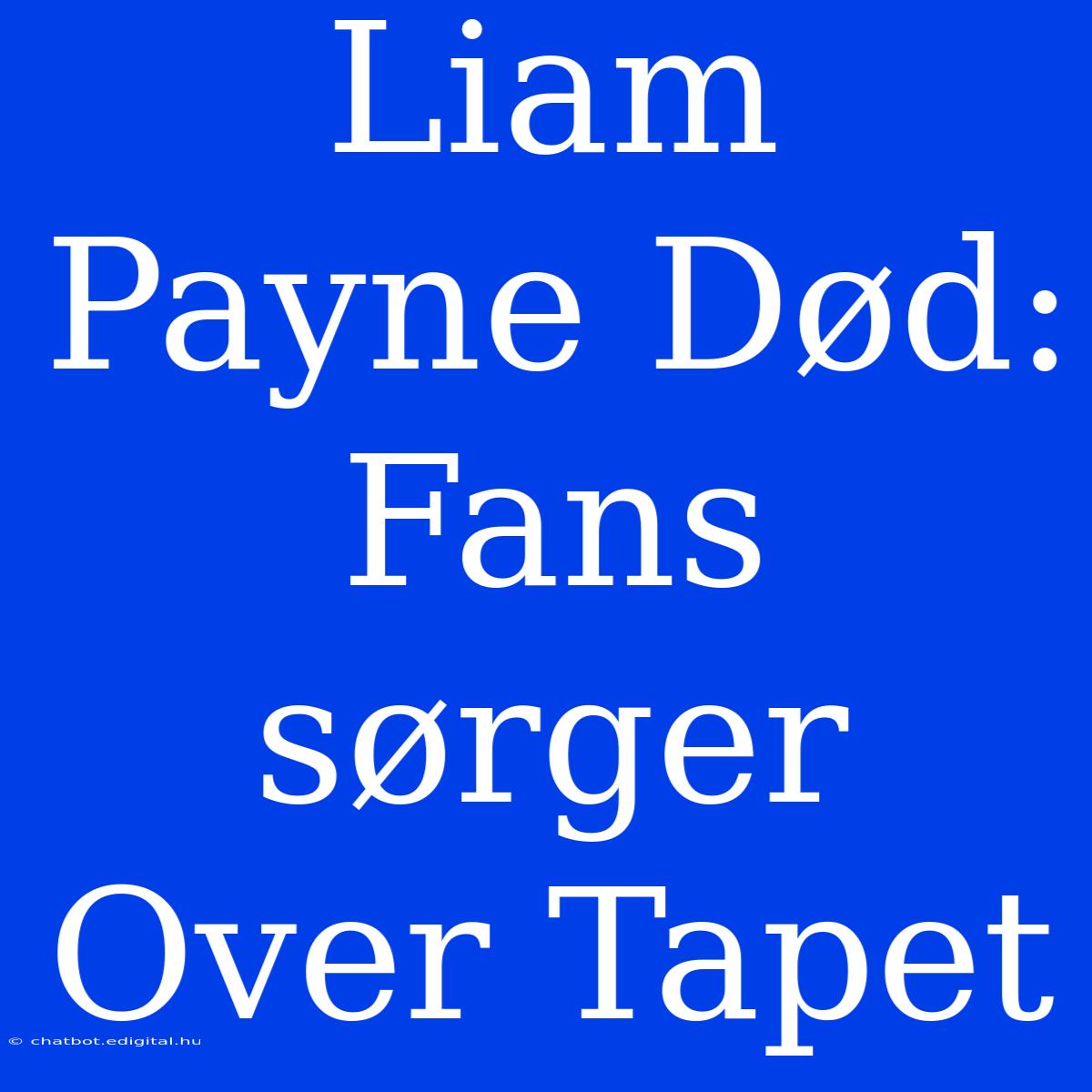 Liam Payne Død: Fans Sørger Over Tapet