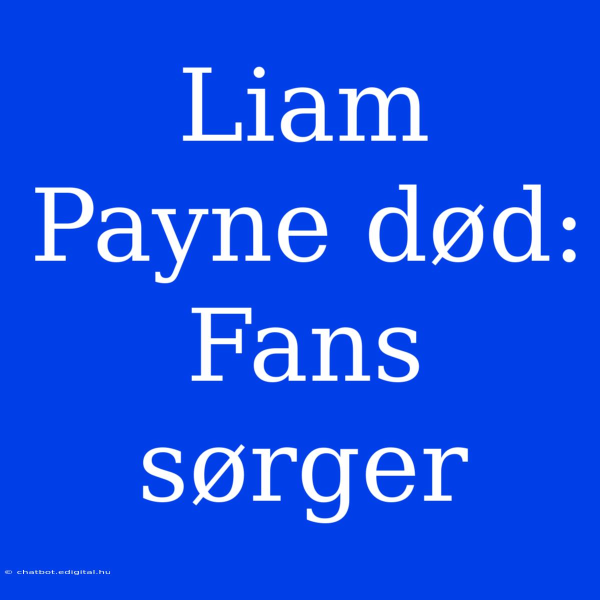 Liam Payne Død: Fans Sørger