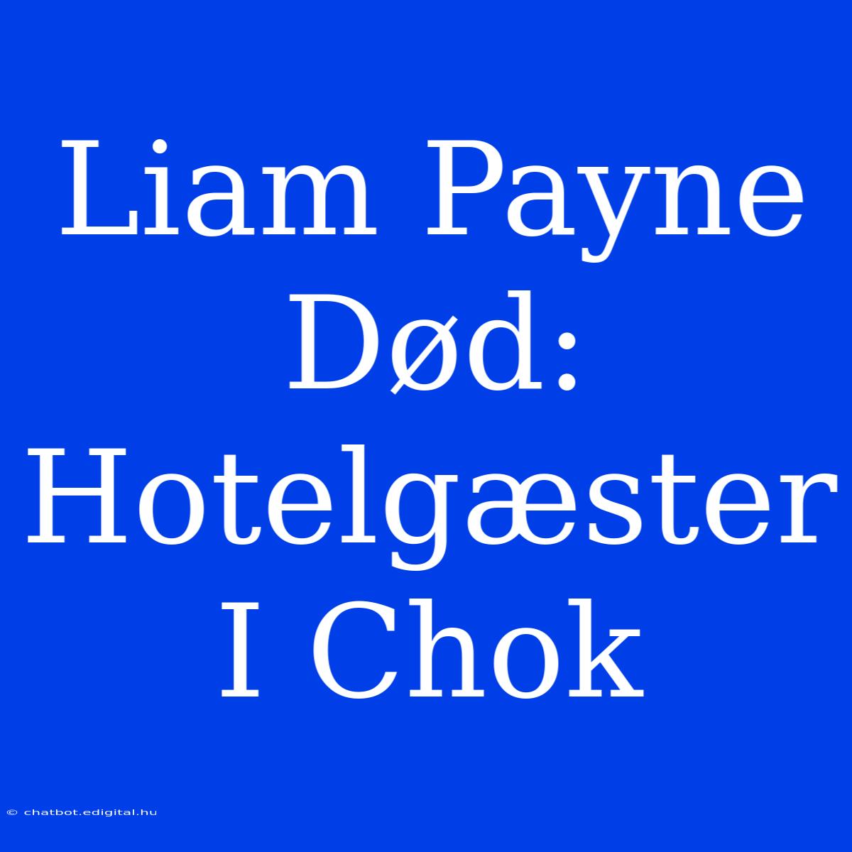 Liam Payne Død: Hotelgæster I Chok