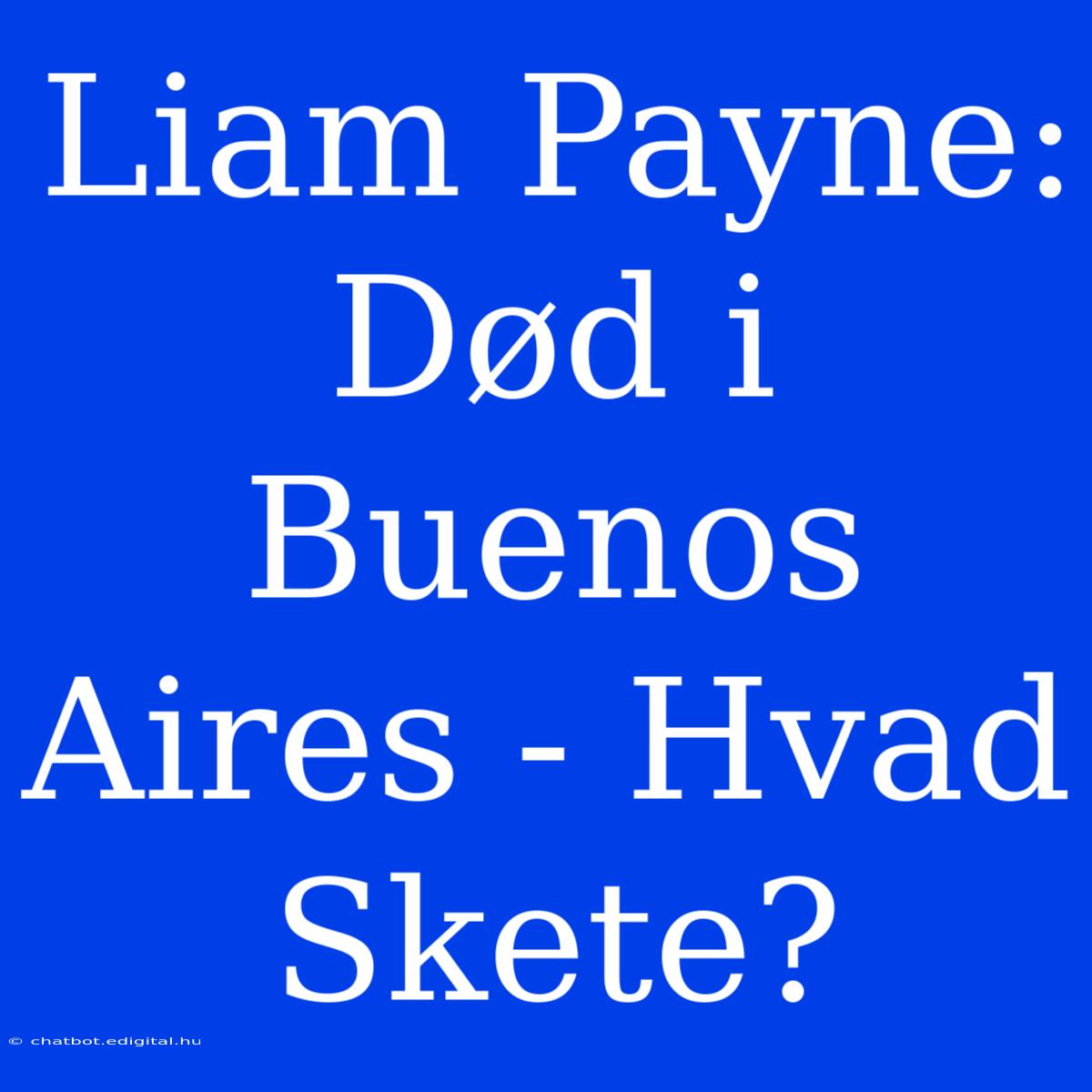 Liam Payne: Død I Buenos Aires - Hvad Skete?