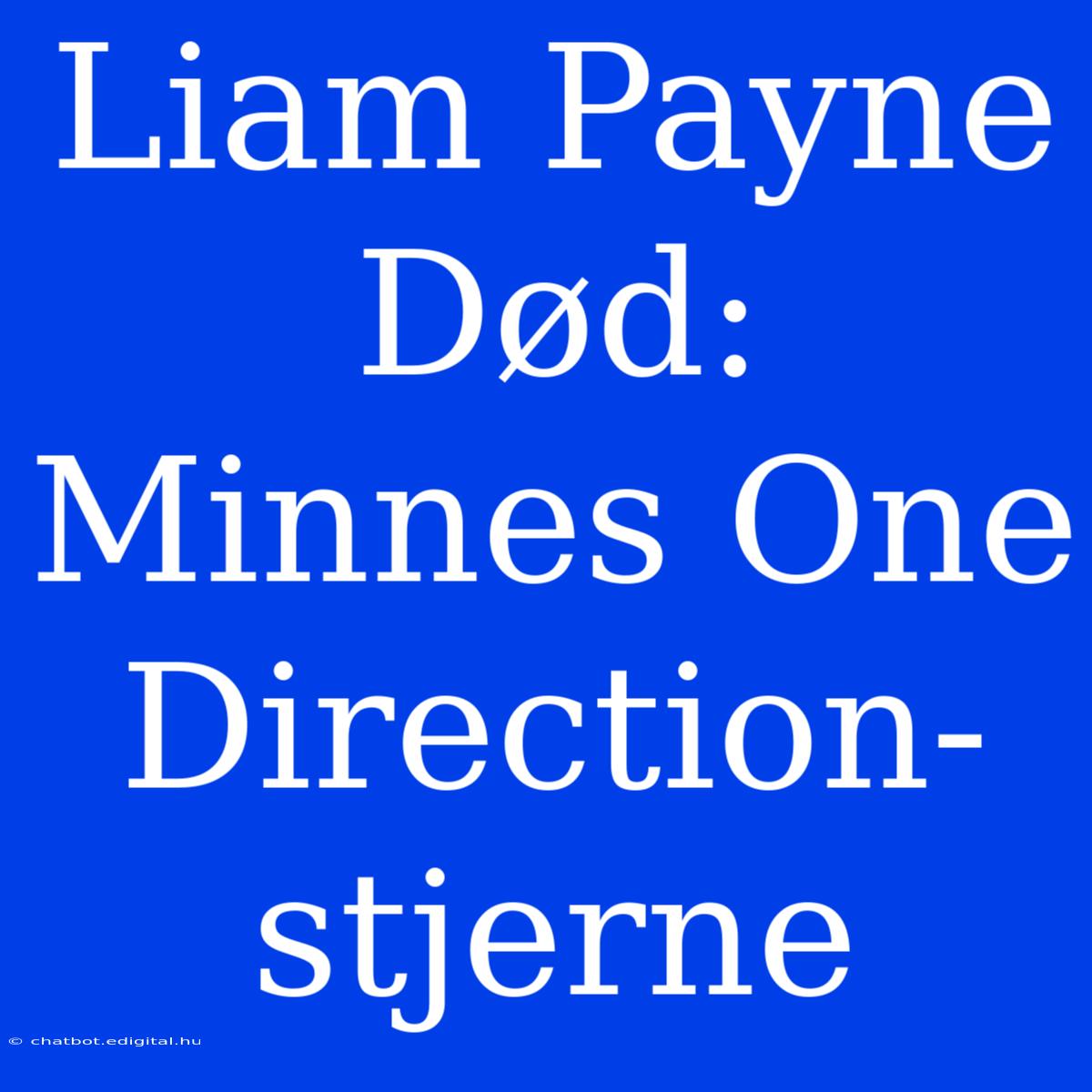 Liam Payne Død: Minnes One Direction-stjerne