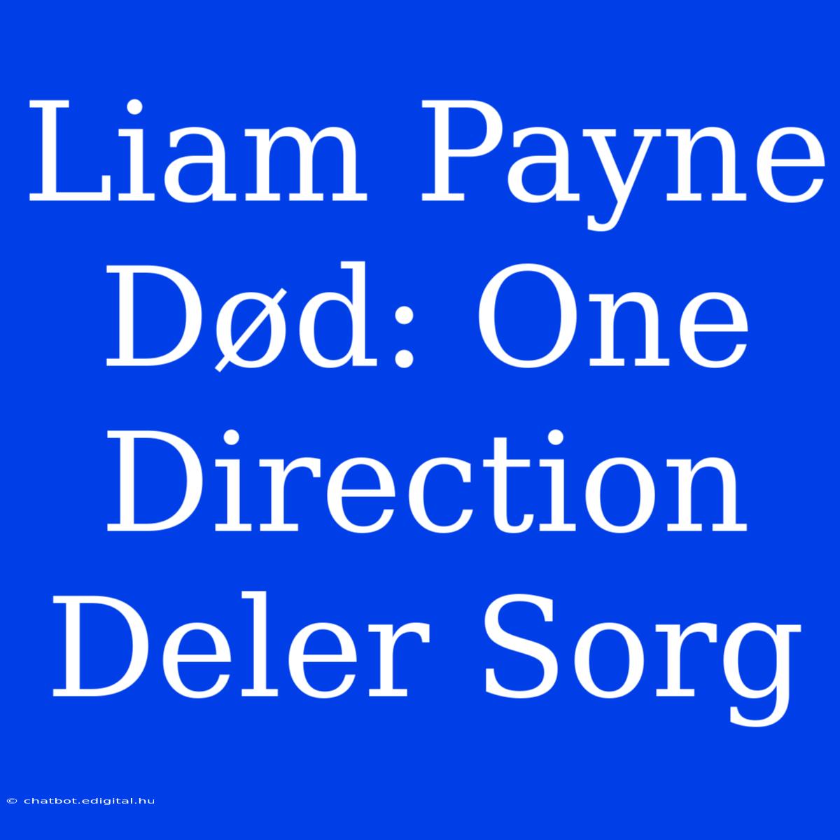 Liam Payne Død: One Direction Deler Sorg