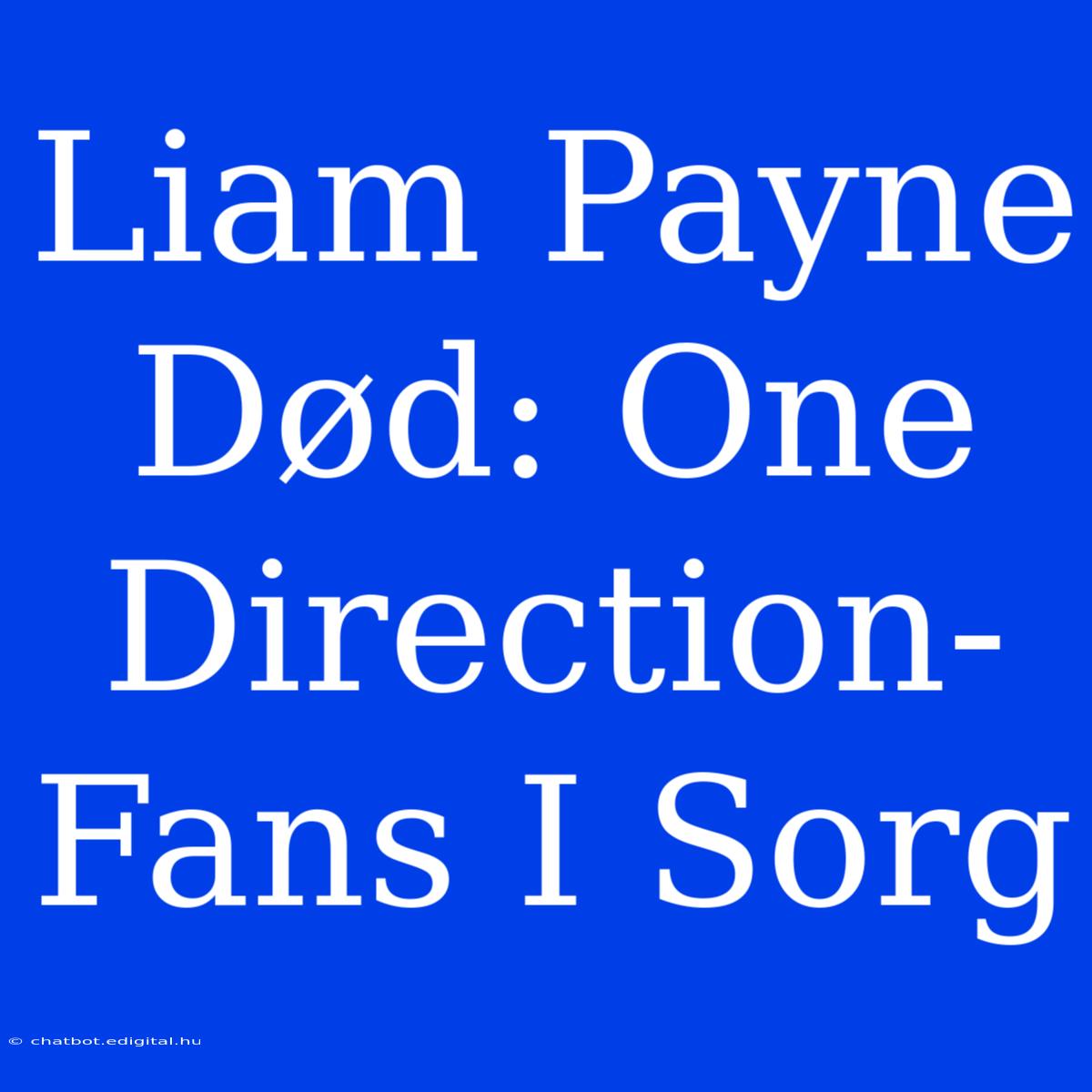 Liam Payne Død: One Direction-Fans I Sorg 