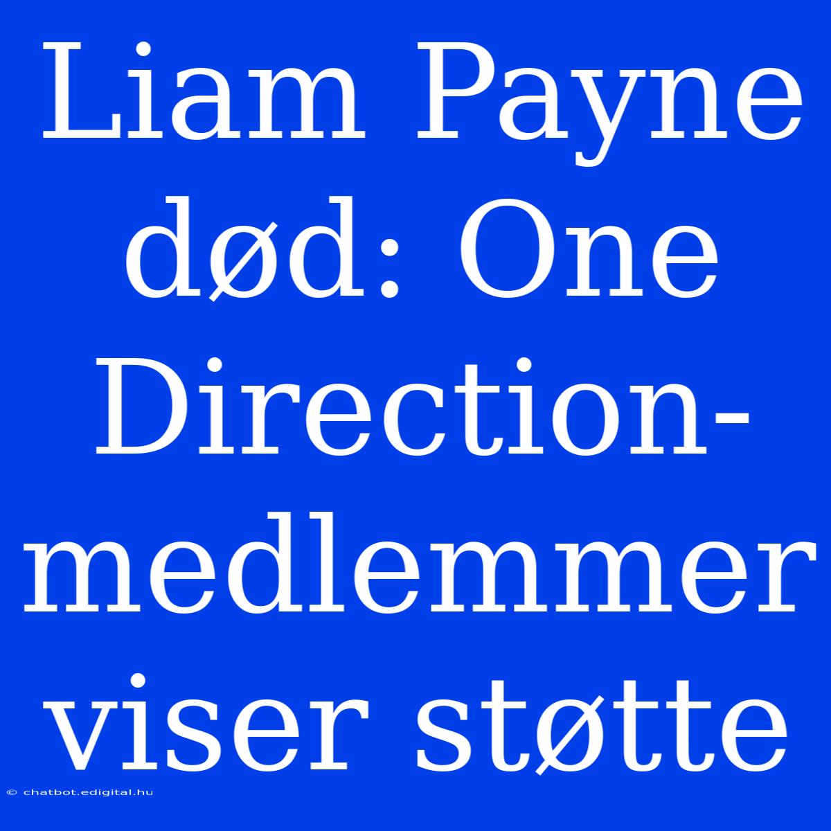 Liam Payne Død: One Direction-medlemmer Viser Støtte