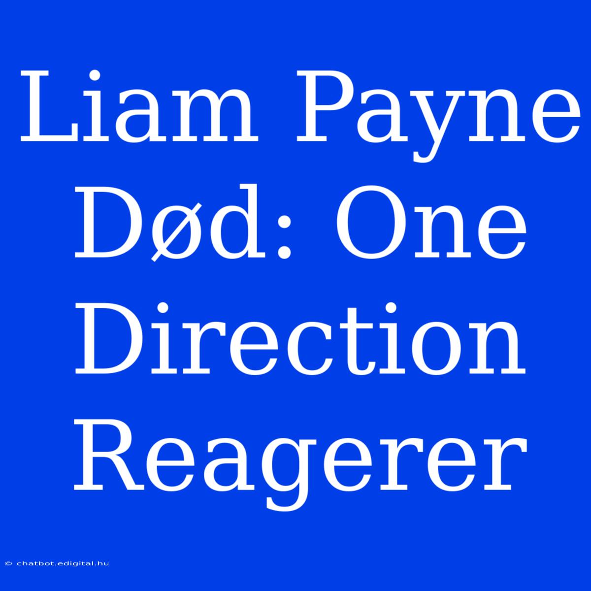 Liam Payne Død: One Direction Reagerer