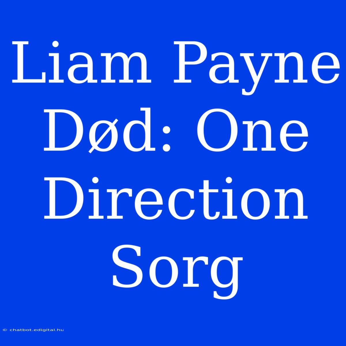 Liam Payne Død: One Direction Sorg