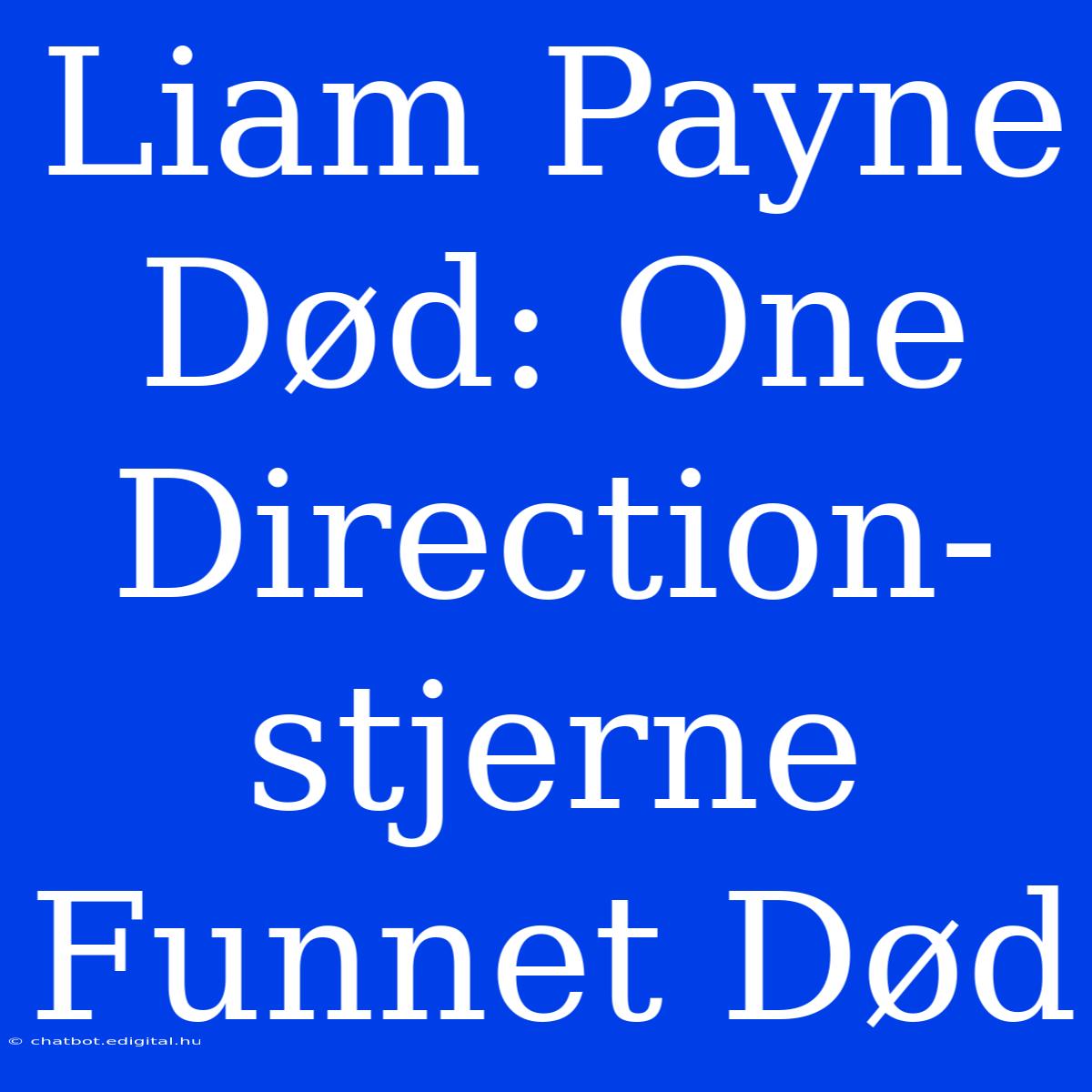 Liam Payne Død: One Direction-stjerne Funnet Død