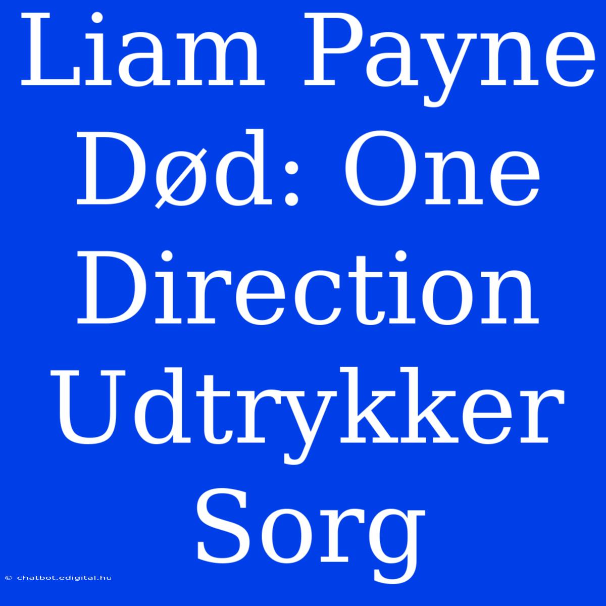 Liam Payne Død: One Direction Udtrykker Sorg