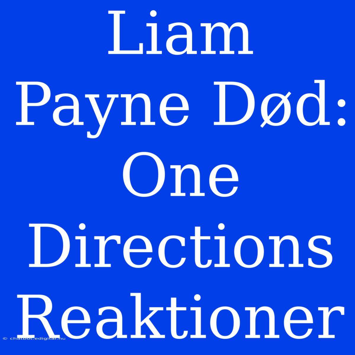 Liam Payne Død: One Directions Reaktioner