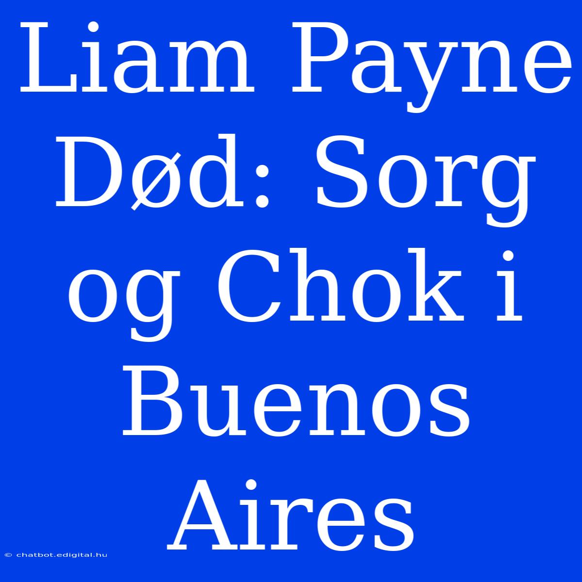 Liam Payne Død: Sorg Og Chok I Buenos Aires