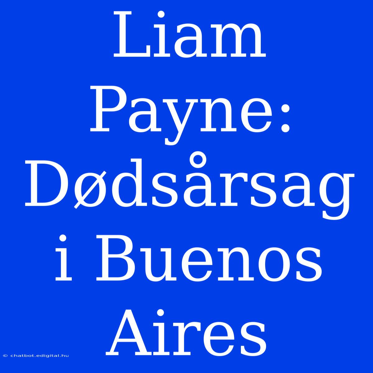 Liam Payne: Dødsårsag I Buenos Aires