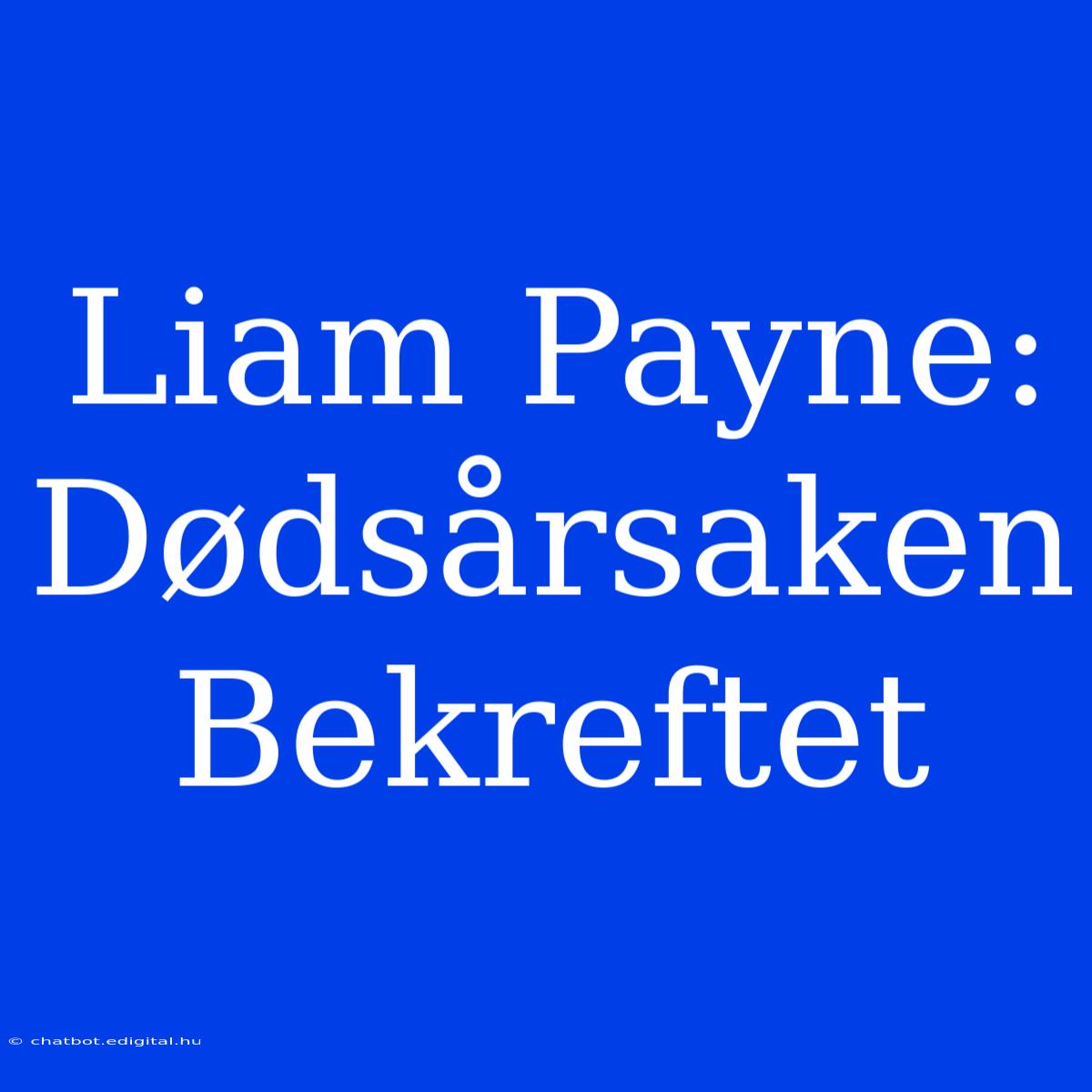 Liam Payne: Dødsårsaken Bekreftet