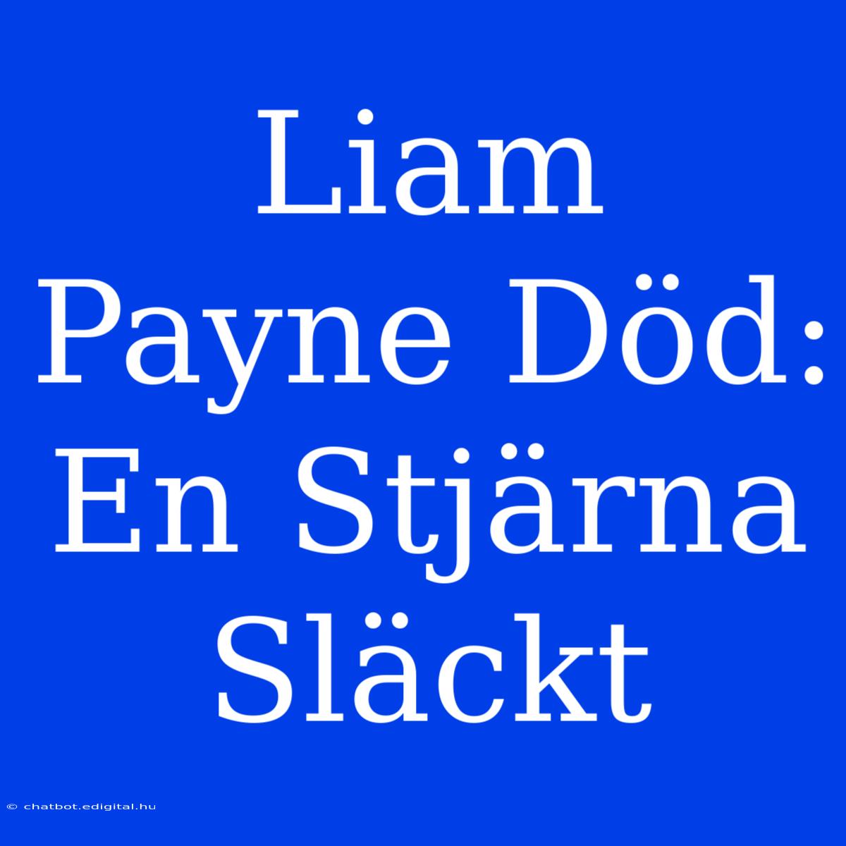 Liam Payne Död: En Stjärna Släckt