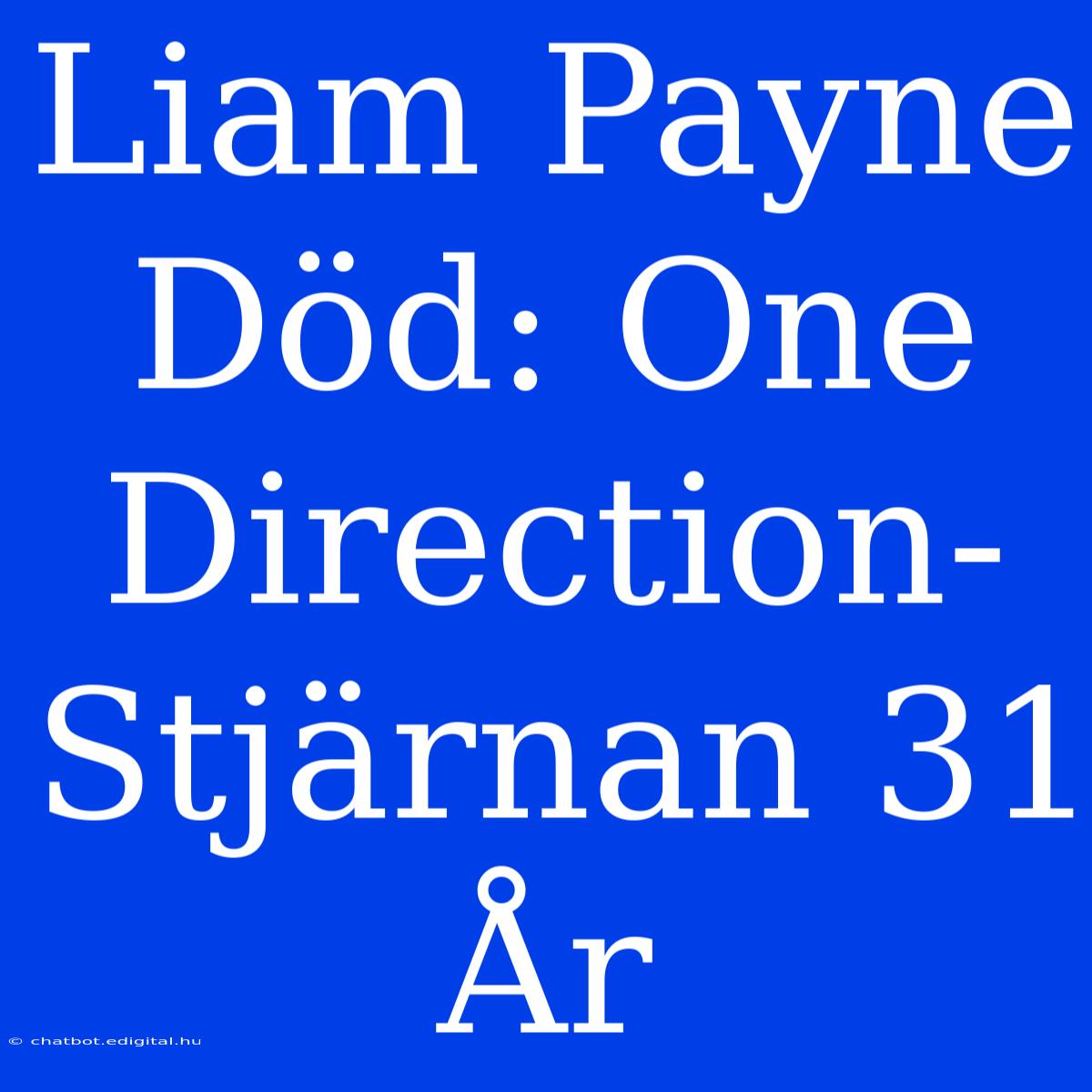 Liam Payne Död: One Direction-Stjärnan 31 År