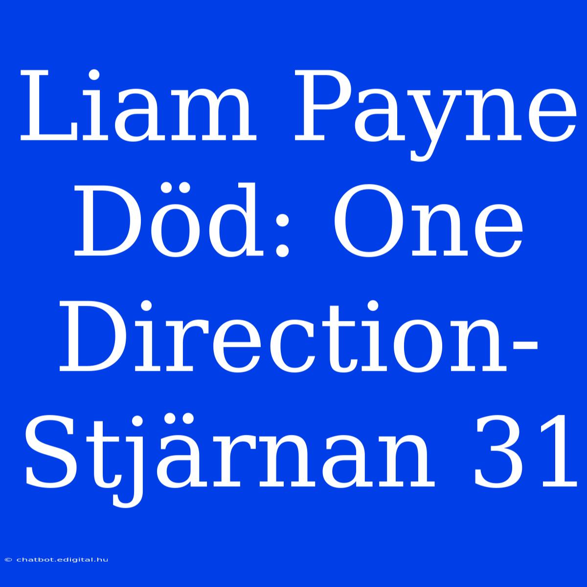 Liam Payne Död: One Direction-Stjärnan 31