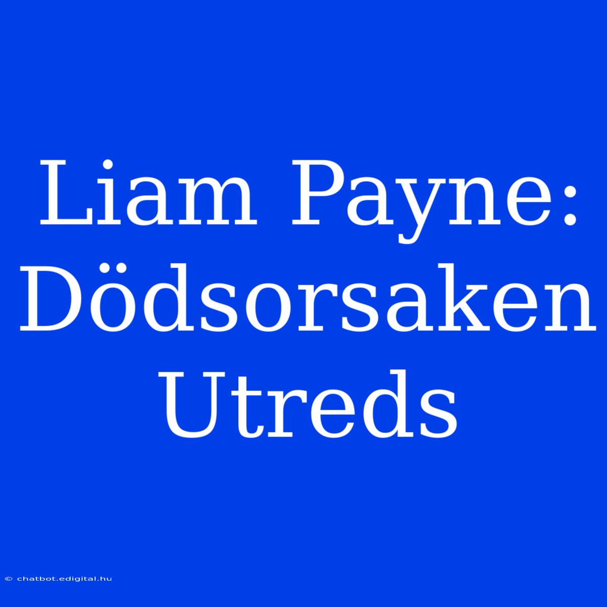 Liam Payne: Dödsorsaken Utreds