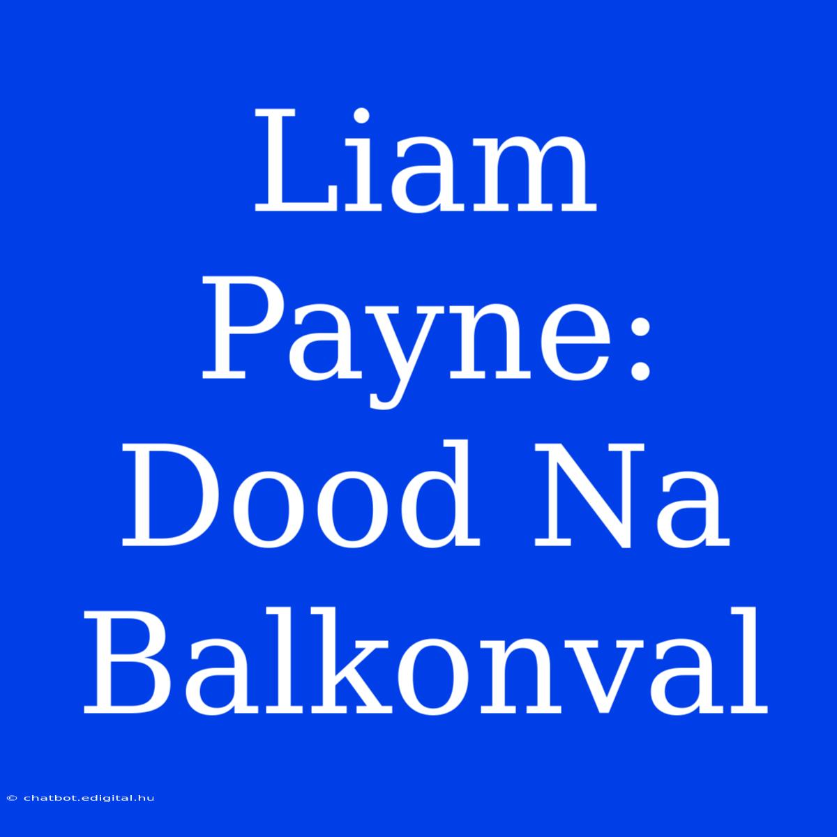 Liam Payne: Dood Na Balkonval