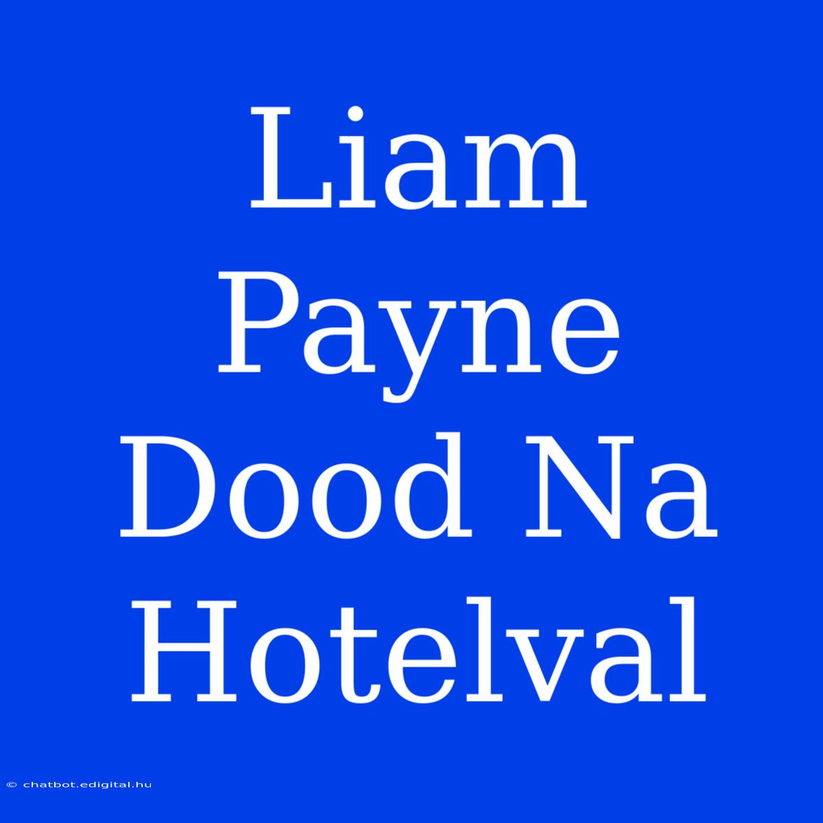 Liam Payne Dood Na Hotelval 