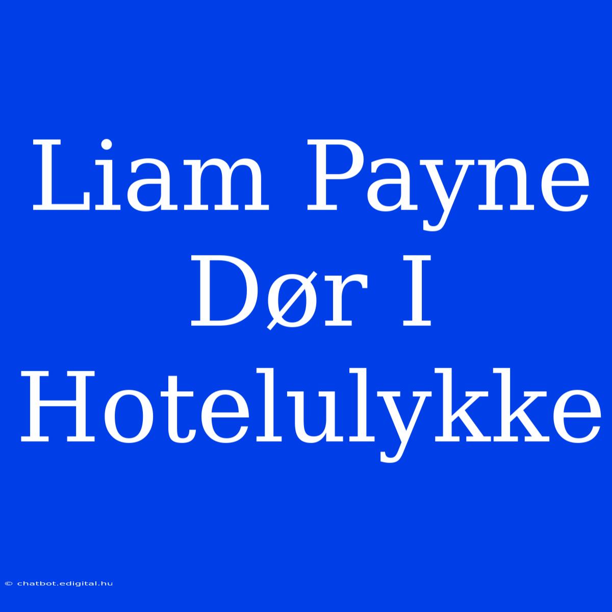 Liam Payne Dør I Hotelulykke