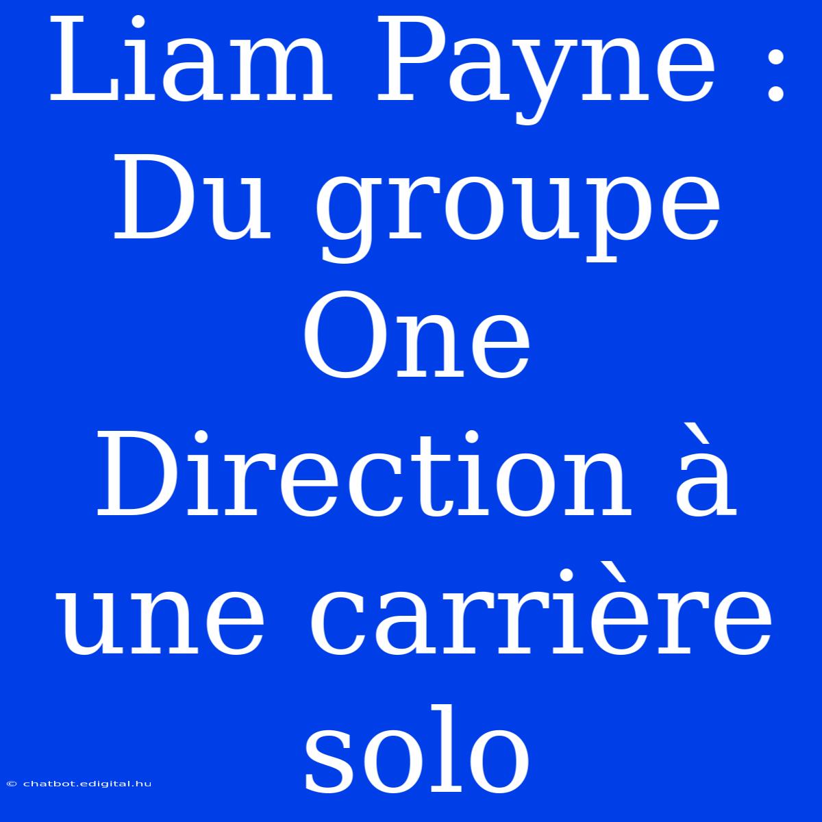 Liam Payne : Du Groupe One Direction À Une Carrière Solo 