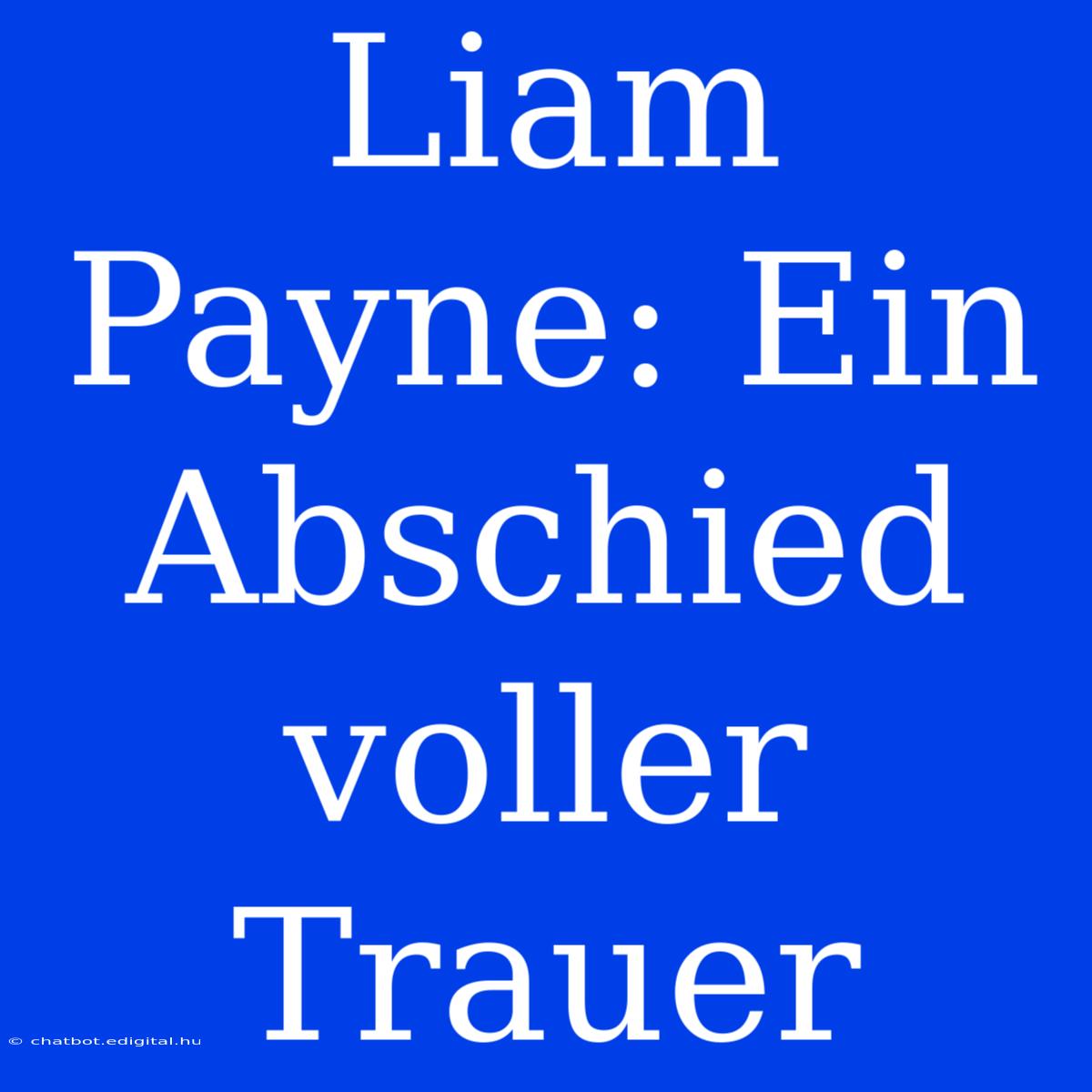 Liam Payne: Ein Abschied Voller Trauer