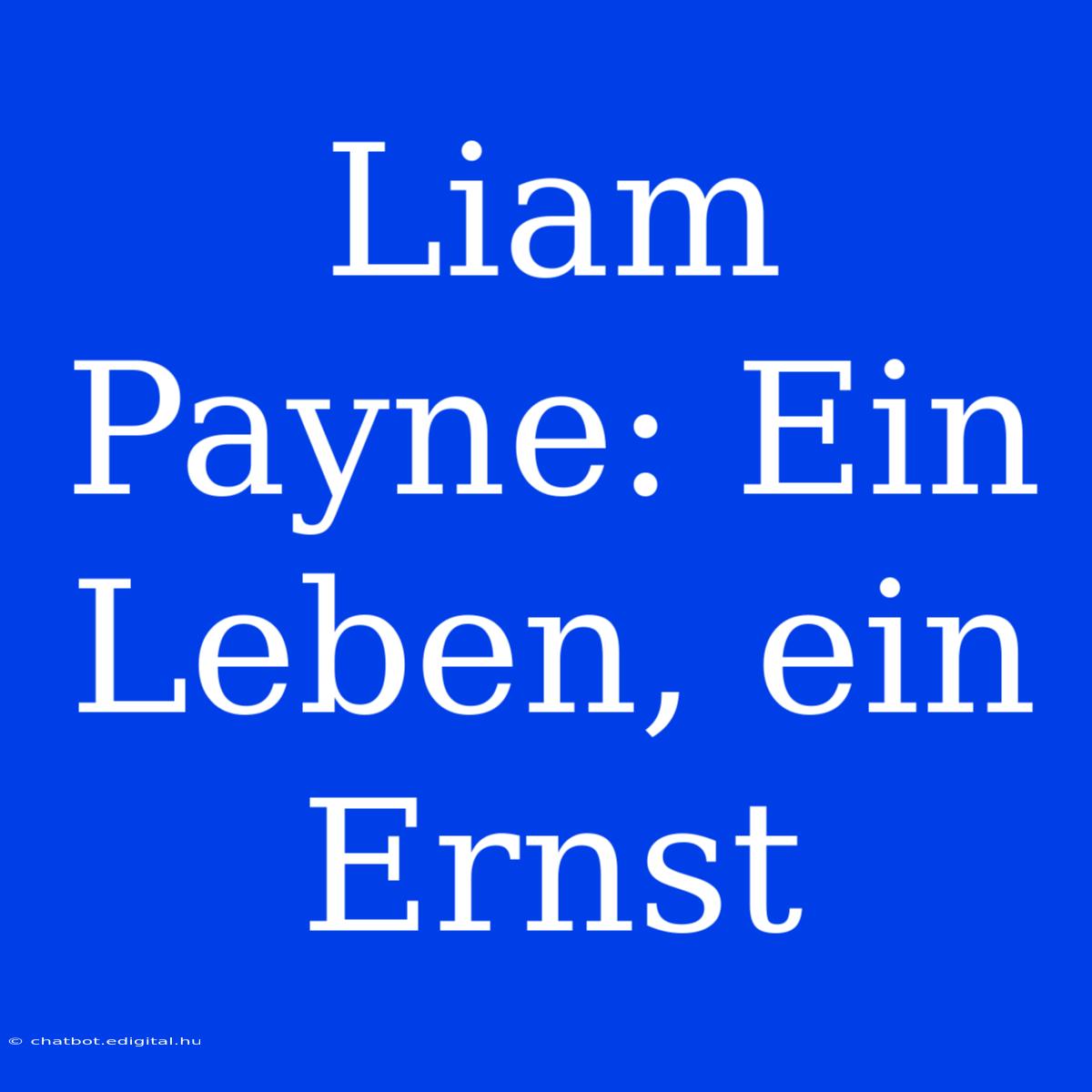 Liam Payne: Ein Leben, Ein Ernst