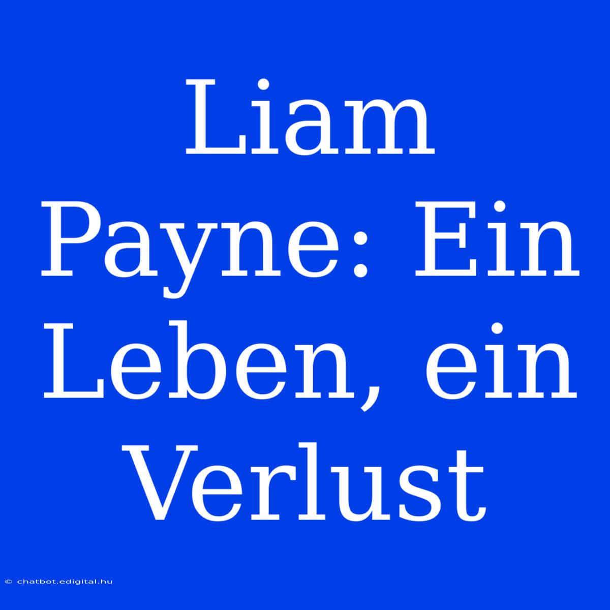 Liam Payne: Ein Leben, Ein Verlust