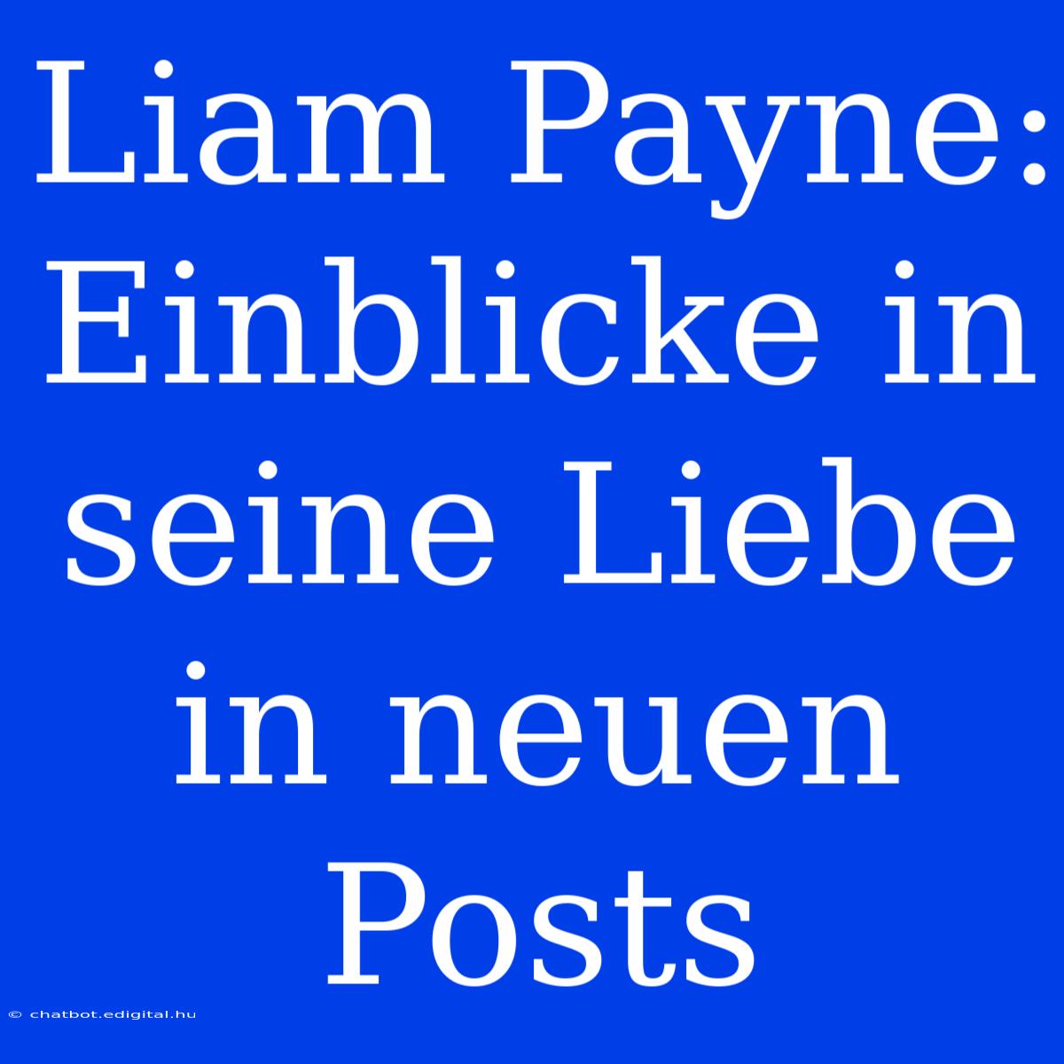 Liam Payne: Einblicke In Seine Liebe In Neuen Posts