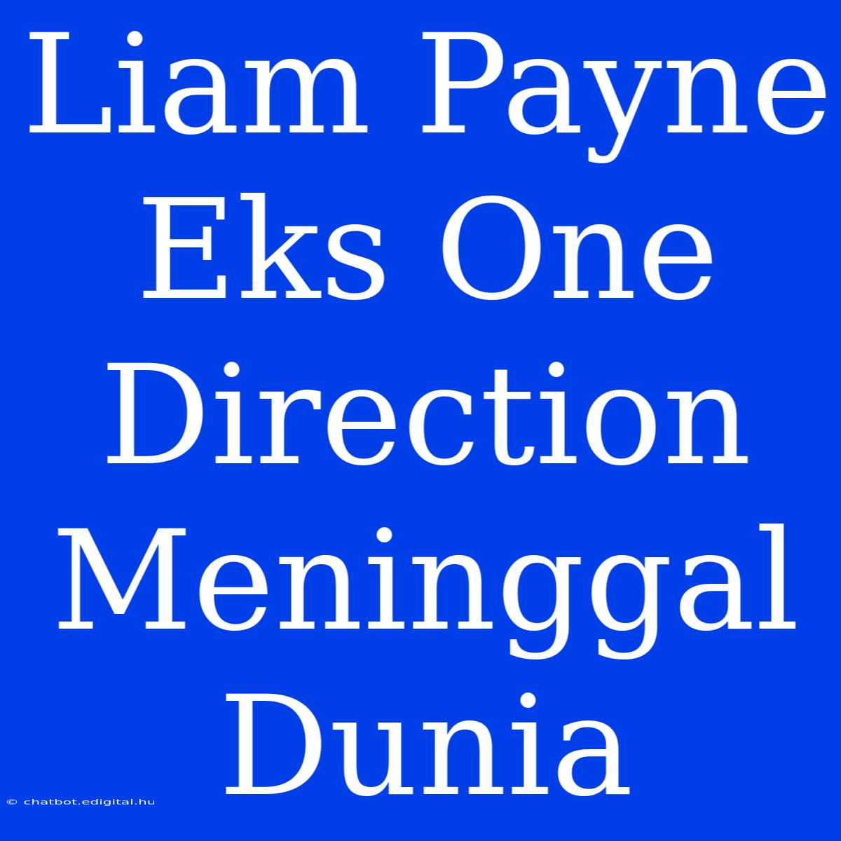 Liam Payne Eks One Direction Meninggal Dunia