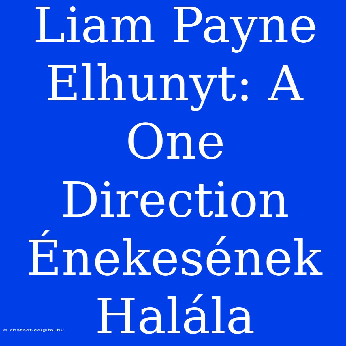 Liam Payne Elhunyt: A One Direction Énekesének Halála