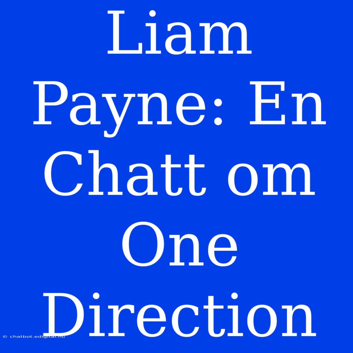 Liam Payne: En Chatt Om One Direction