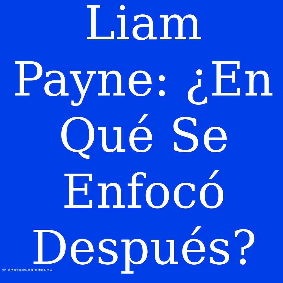 Liam Payne: ¿En Qué Se Enfocó Después?