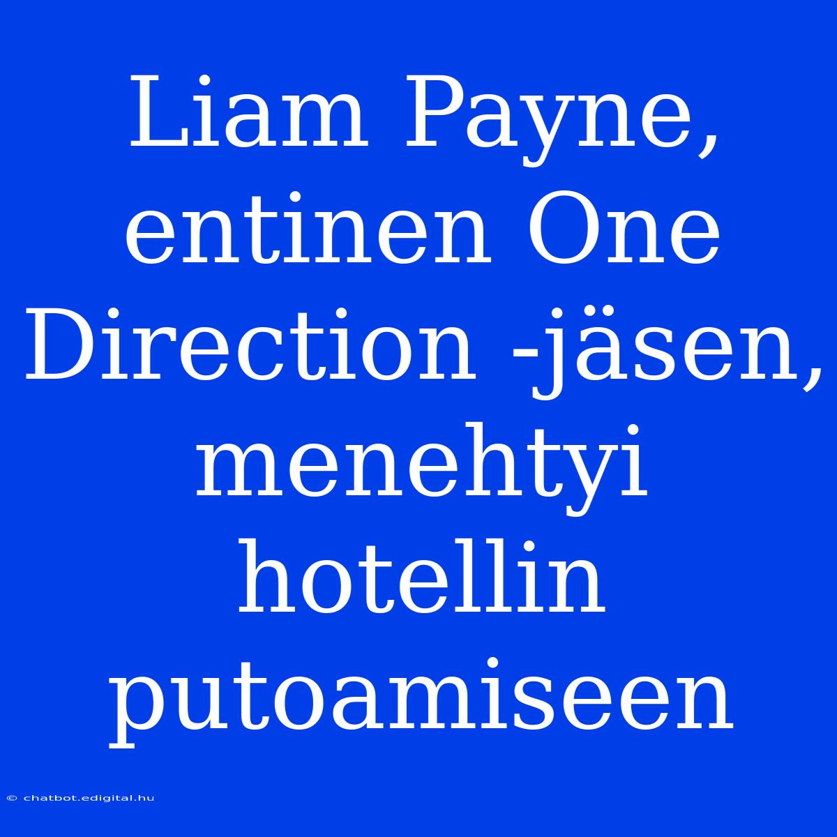 Liam Payne, Entinen One Direction -jäsen, Menehtyi Hotellin Putoamiseen